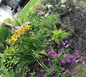 a memorial garden for my son, flowers, gardening