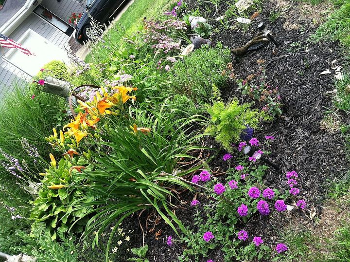 a memorial garden for my son, flowers, gardening