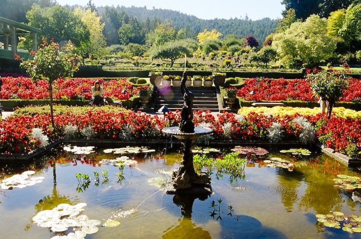 what do you know about italian gardens, gardening