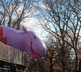the day after thanksgiving, seasonal holiday d cor, thanksgiving decorations, HAPPPY HIPPO JOINS MACY S MARCHERS VIEW ONE Did you know he appeared in the parade in the 1940 s