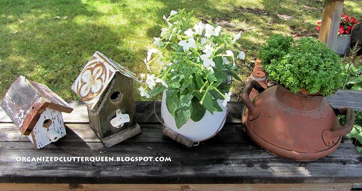 do you ever find great garden junk at garage sales, garages, gardening, repurposing upcycling, A boxwood basil in a terra cotta pot tucked in the milk can top