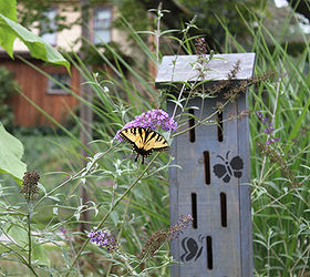 butterfly house in my butterfly garden, gardening, Butterfly house