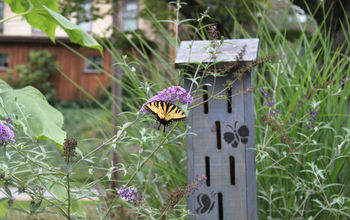 Butterfly house in my butterfly garden