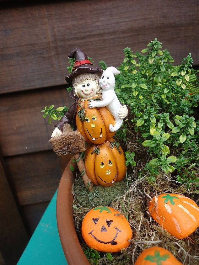 create a halloween miniature garden, crafts, gardening, halloween decorations, seasonal holiday decor, I found some cute decor at the local thrift shop for under 1