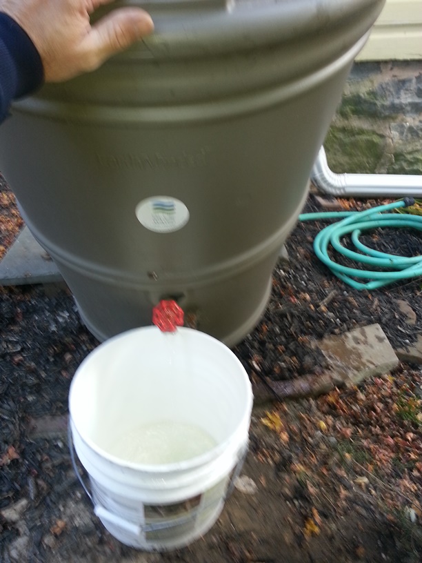 winterizing a rain barrel, go green, home maintenance repairs, homesteading, Empty the Barrel I used the water to well water