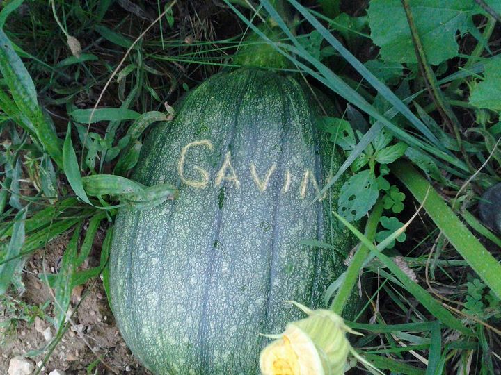personalized pumpkins, gardening
