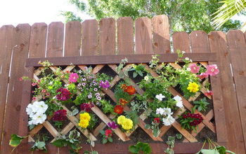  Jardinagem de jardim de parede vertical