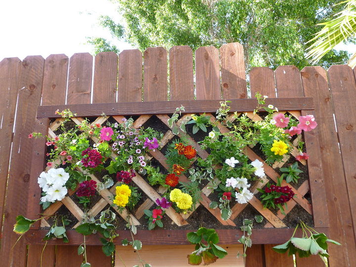 jardinagem de jardim de parede vertical