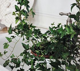 the secret to a beautiful houseplant, gardening, pest control, My topiary lasted for two months by following one simple step