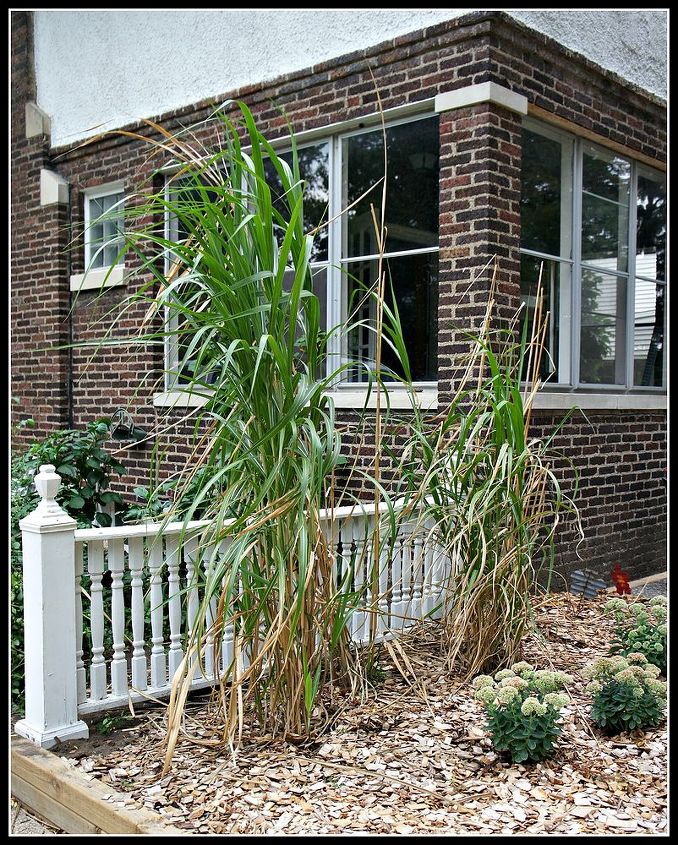 curb appeal front patio, curb appeal, gardening, patio, porches