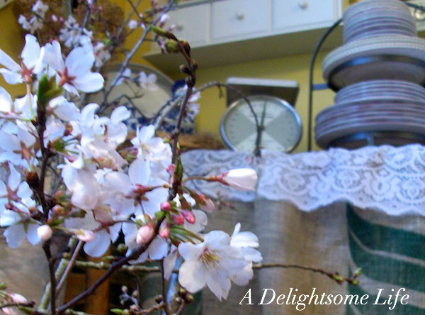 cheery cherry blossoms in vintage buckets, home decor