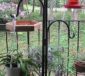 should i remove my bird feeder, outdoor living, pets animals, A Shepards hook holds both bird feeders and plants on my balcony