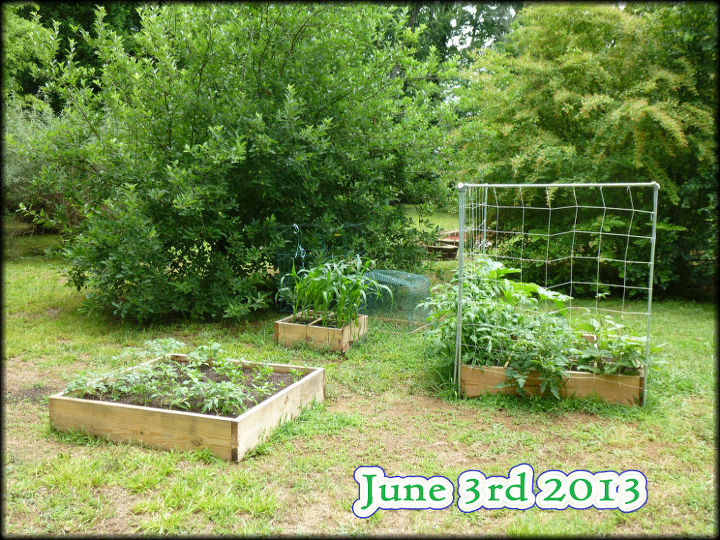 a construo do nosso primeiro sfg square foot garden