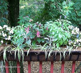burlap a thrifty container liner, container gardening, crafts, flowers, gardening, repurposing upcycling, Colorful annuals with spider plants