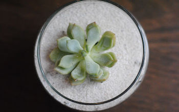 5 Gorgeous Ways to Use Succulents