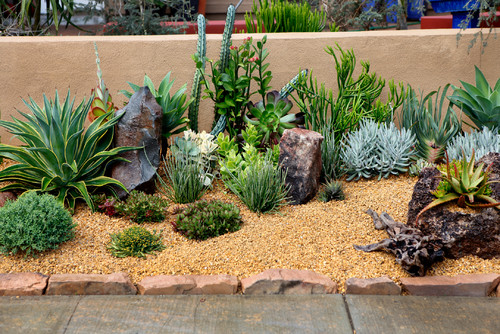 Front Yard Landscaping Hometalk, Backyard Landscaping Ideas Tucson