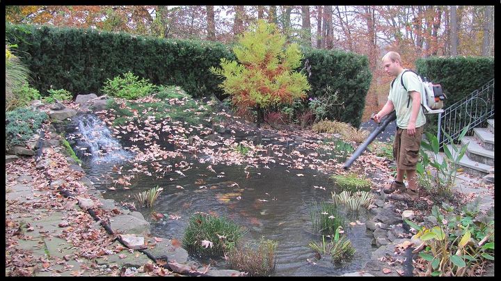 premier ponds fall pond netting, landscape, outdoor living, ponds water features