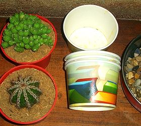 recycle used food cups and add river stones to make your cacti planters daintier, gardening, you just simply need cacti in planters used paper cups and small river stones