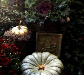 fall garden inspiration, gardening, halloween decorations, seasonal holiday d cor, This part of my garden is so magical The inspiration for the fall color scheme came from the purple variegations and silvery leaves of several Japanese ferns that thrive here