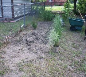 my landscaping adventure, landscape, outdoor living, opposite side of yard putting in pampas grass along fence
