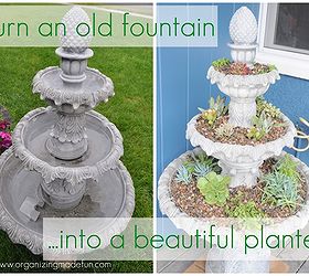 fountain full of succulents, flowers, gardening, repurposing upcycling, succulents