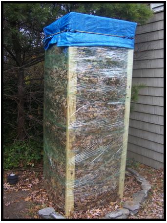 that s a wrap prepping a windmill palm for winter, gardening, This is the end result a plastic wrapped tower to protect the windmill palm