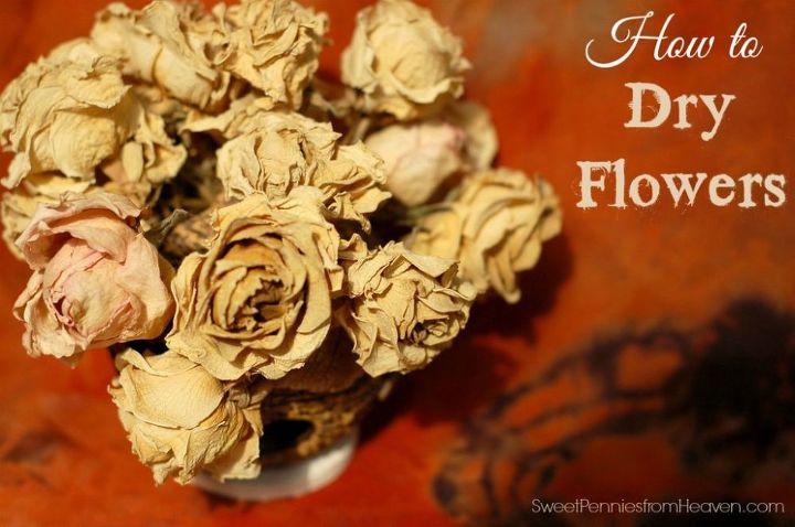 how to dry flowers for crafts potpourri or home decor, crafts