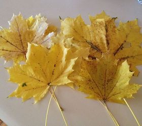 making all homemade christmas decorations, christmas decorations, seasonal holiday decor, I pressed some fall leaves