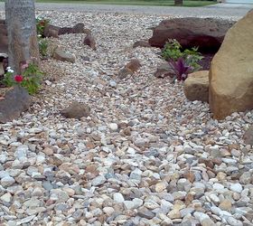 creating a no mow dry creek garden in front of our new house, curb appeal, gardening, landscape