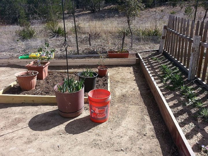 my first spring garden rennovating the landscape, flowers, gardening, pallet, I just added this first smaller bed it is designated for tomatoes peppers and herbs