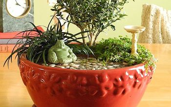 About Indoor Miniature Gardening Plus Gallery of Inspiration