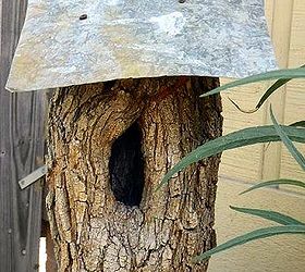 tree trunk birdhouse, TREE STUMP BIRDHOUSE WITH GALVANIZED TIN ROOF