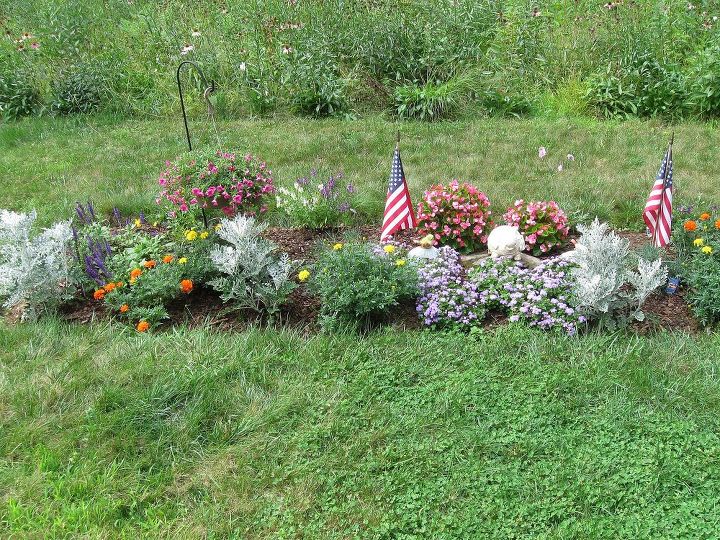 3 year gardening project, container gardening, flowers, gardening