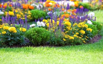 Cinco consejos de jardinería para sorprender a los invitados del Día de los Caídos