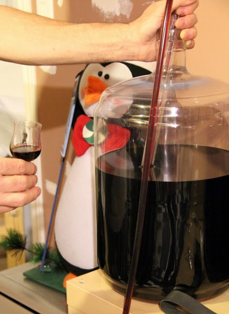 make your very own raspberry wine, gardening, Ready to bottle Just make sure Mr Penguin doesn t get his beak in your wine or there ll be none left