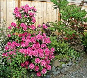 re landscaping to shrubs and perennials, flowers, gardening, landscape, perennial, succulents