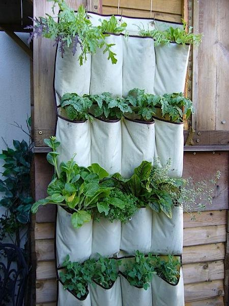 build a vertical garden and turn a small space into a big harvest, flowers, gardening, repurposing upcycling, succulents, urban living