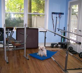 the gym on lavender hill, doors, home decor, home improvement, pool designs, spas, Parallel bars