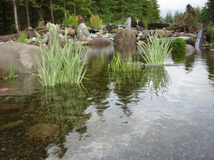 customer photo story, outdoor living, pets animals, ponds water features