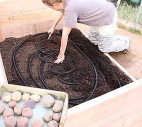 how to plant seed potatoes, container gardening, gardening, homesteading, Trenching