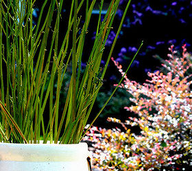 how i turned spent daylily stems into pretty outdoor decor, container gardening, flowers, gardening