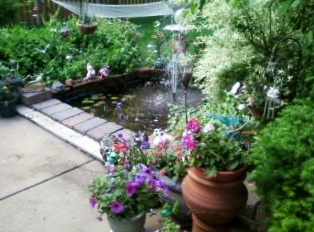 our bakyard pond, gardening, ponds water features, Side view of the pond