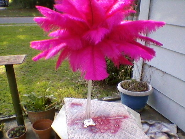 ostrich feathers used for centerpiece, crafts