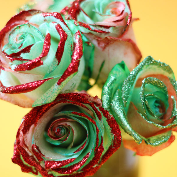 rosas arco ris e glitter para as frias, Rosas verdes e vermelhas mergulhadas em glitter vermelho para o Natal