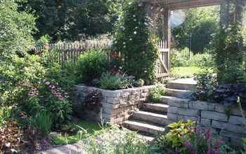 "Make it a Focal Point" ~ Turn obstacles into opportunities and champion challenges in your landscape design