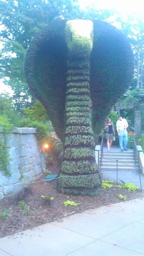 atlanta botanical gardens for date night, gardening, succulents, Closer view of the cobra