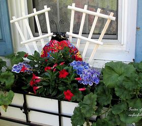 the merry merry month of may, flowers, gardening, hydrangea, window box with mandevilla hydrangea and geraniums