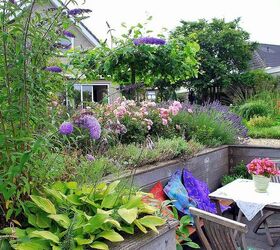 hans pardoel gardens, gardening, Lower terrace near the water sitting close to Lavender Roses and Buddleia s