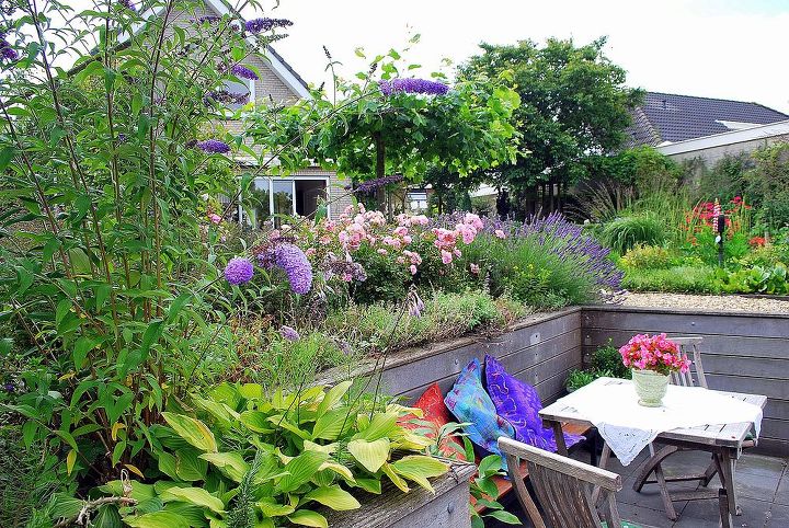 hans pardoel gardens, gardening, Lower terrace near the water sitting close to Lavender Roses and Buddleia s