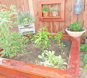 3 tierd vegetable garden bed updated with veggies, gardening, Here it is middle of June